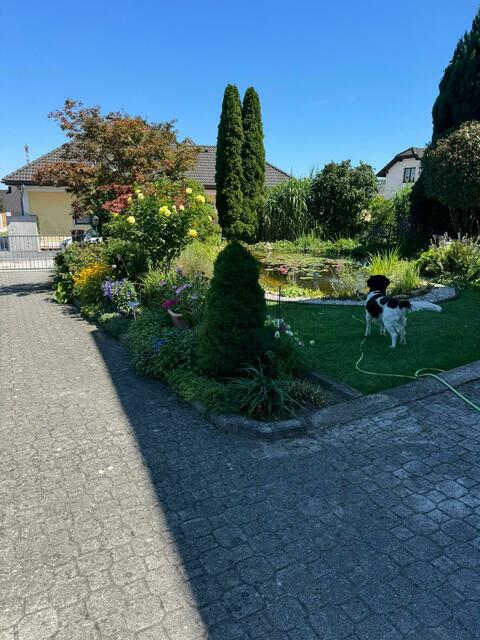 Annemarie Gutenbrunner 