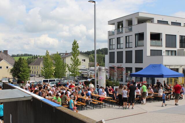 Foto: Falkner