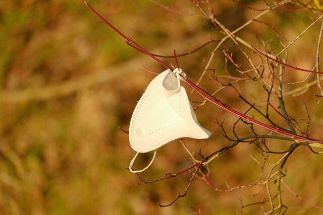 "Alle Jahre wieder" kommt im Herbst Corona. | Foto: Pixabay