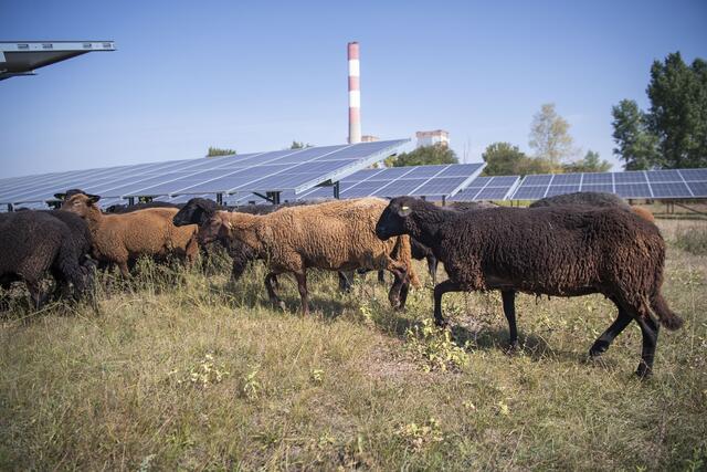 Foto: EVN / Matejschek