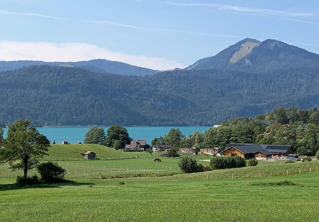 Foto: H.Bachinger 