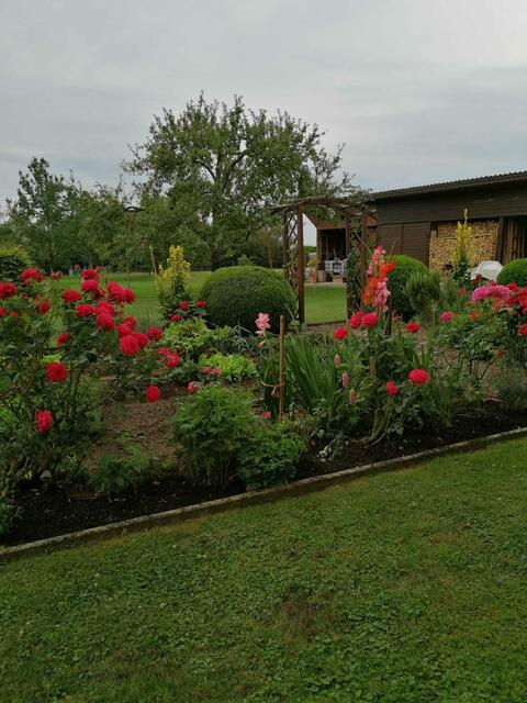 Annemarie Gutenbrunner 