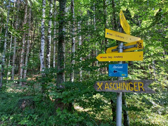 Foto: H.Bachinger 