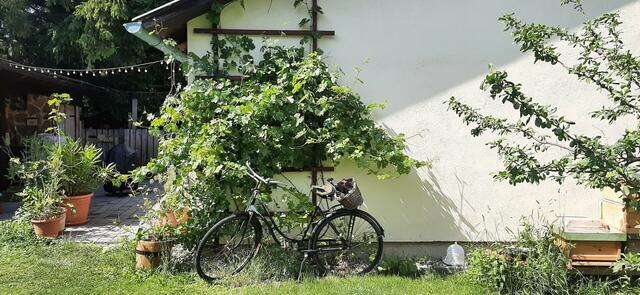 Alexandra und Andreas Bartsch