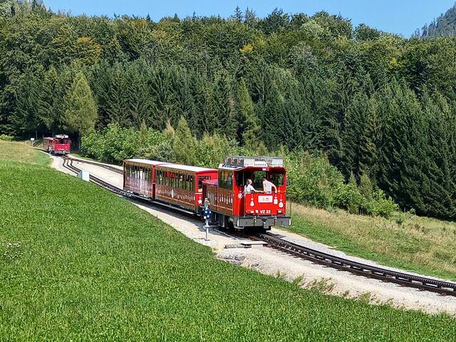 Foto: H.Bachinger 