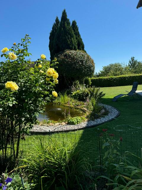 Annemarie Gutenbrunner 