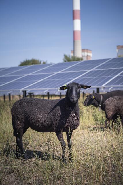 Foto: EVN / Matejschek