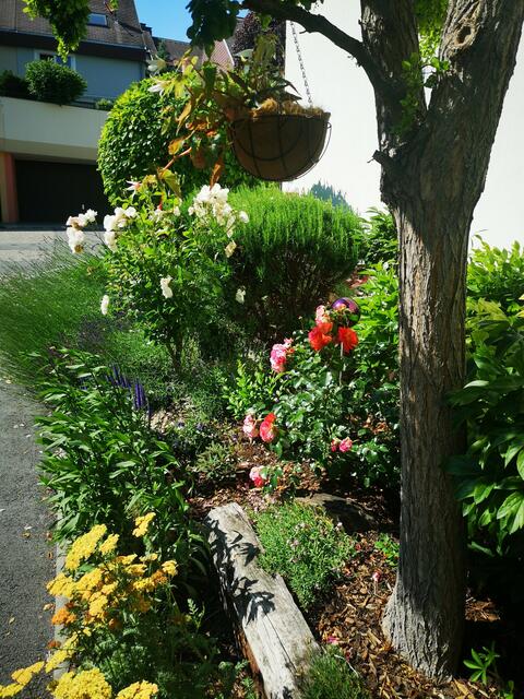 Doris Steiner-Bochdansky 