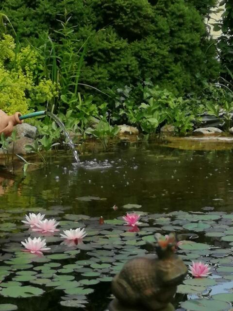 Annemarie Gutenbrunner 