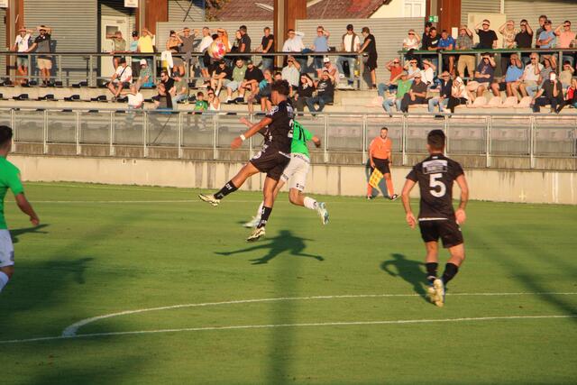 Foto: MeinBezirk/Hofmüller