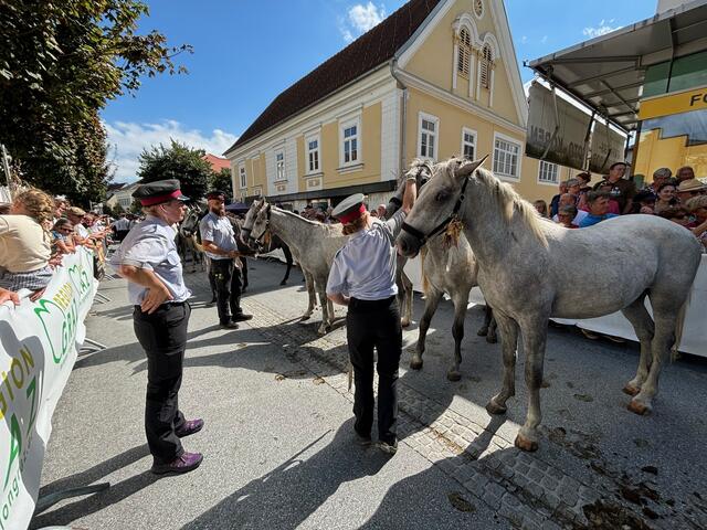Die Lipizzaner in Köflach, immer wieder ein echtes Erlebnis. Diesmal bei Prachtwetter. | Foto: Almer