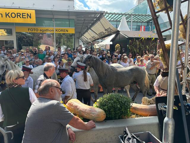 Tausende Besucherinnen und Besucher wollten in der Köflacher Innenstadt die Lipizzaner sehen. | Foto: Almer