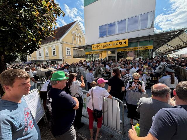 Die Köflacher Innenstadt war prall gefüllt: Durch die vielen Gäste und die Lipizzaner | Foto: Almer