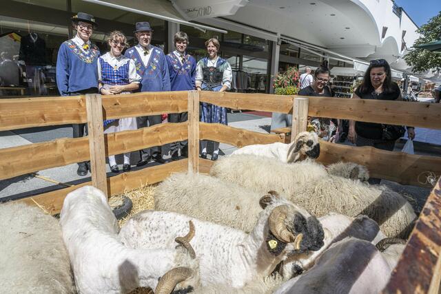 Foto: Heinz Holzknecht