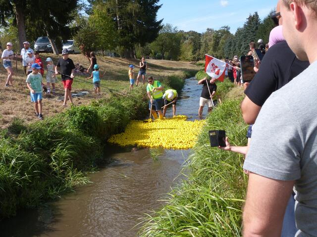 Die gelben Flitzer machten sich für einen heißen Kampf bereit!