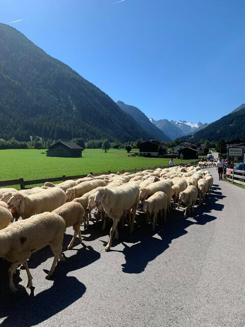 Foto: Daniel Pfurtscheller