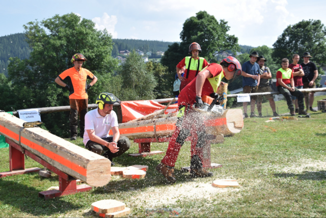 Holzarbeiten sind eine gefährliche Arbeit, die geübt werden muss. | Foto: LJ Bezirk Weiz