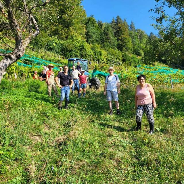 Beim Ernten helfen alle fleißig mit. | Foto: Privat