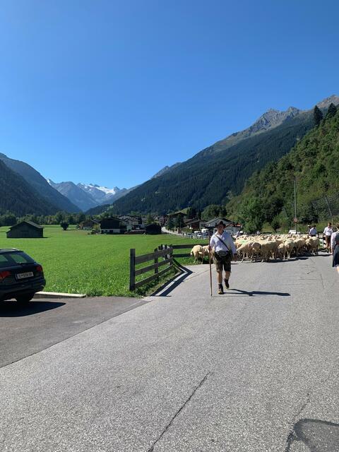 Foto: Daniel Pfurtscheller