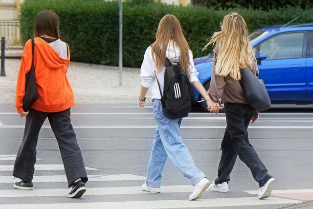 Es ist bereits 17 Jahre her, dass die "Schutzwegaktion in Tiroler Gemeinden" ins Leben gerufen wurde. Das Ziel des Projekts war stets, die Sicherheit auf den Tiroler Straßen zu erhöhen. Seit 2007 wurde mehr als 500 Schutzwege in 120 Gemeinden verbessert.  | Foto: Pixabay