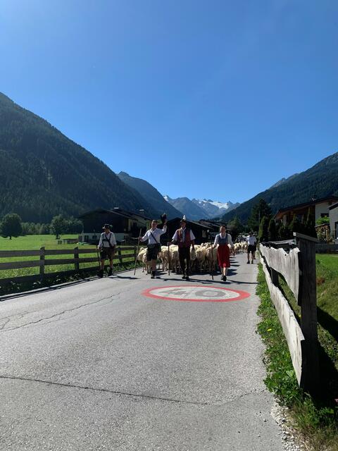 Foto: Daniel Pfurtscheller