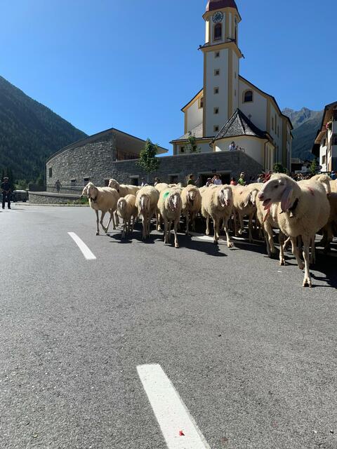 Foto: Daniel Pfurtscheller