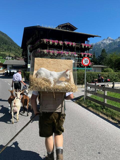 Foto: Daniel Pfurtscheller