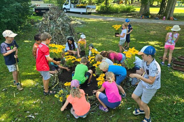 Foto: Stadtgärtnerei Braunau