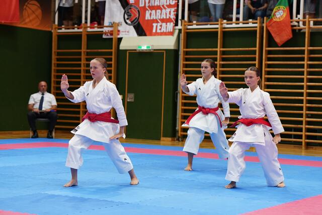 Strodl, Schneeweiß und Treun im Einsatz | Foto: Frieways Karateklub