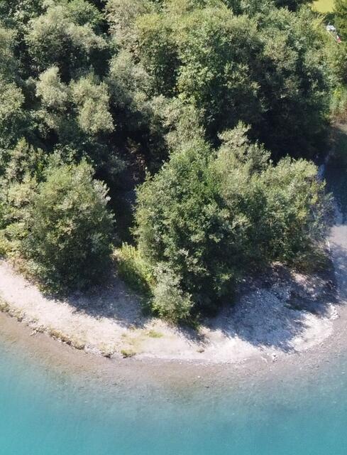 Schwemmkegel des Naggler-Baches im Weißensee | Foto: ÖBf