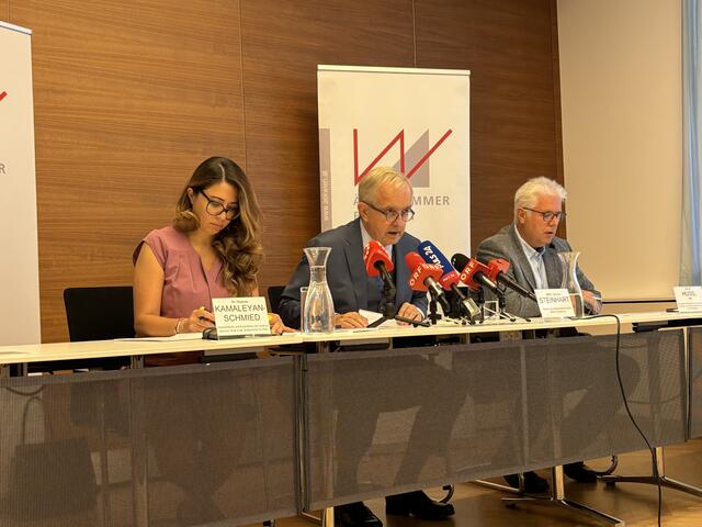Ärztekammer Wien-Präsident Johannes Steinhart (Mitte) erklärt das neue Konzept. | Foto: Johannes Reiterits/MeinBezirk
