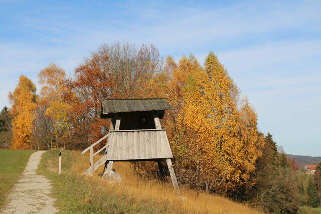 Lebensroas, Oberwang | Foto: Maria Rabl