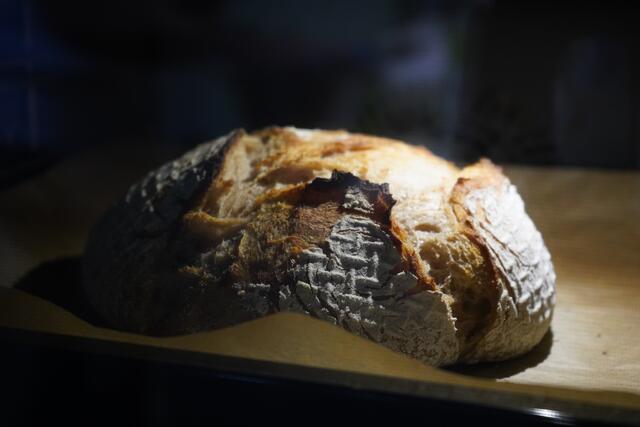 Brot im Backrohr bei Ober- und Unterhitze | Foto: Andrea Glatzer