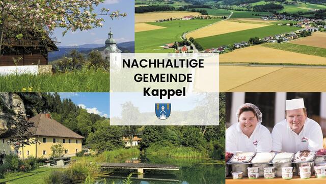 Diesmal in der Gemeindereportage: Kappel am Krappfeld | Foto: Gemeinde Kappel (2) / Verein FARN / Krappfelder Eis
