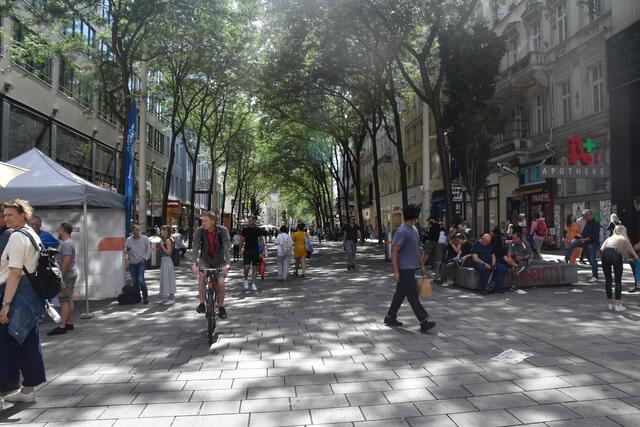 Der Radfahrer kam aus der Begegnungszone Mariahilfer Straße und hatte laut Zeugen grün. | Foto: Salme Taha Ali Mohamed