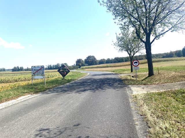 Die Straße zwischen dem Ortsende Neumarkt und der Grenze: Hauptsorge ist, dass nach dem Ausbau das Zu-Schnell-Fahren weiter zunimmt. | Foto: Anna Kaufmann