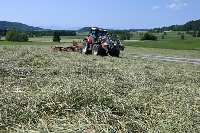 Während die Heu- und Silagemengen Rekordwerte verzeichnen, stehen Forstwirte unter Druck. | Foto: LKS