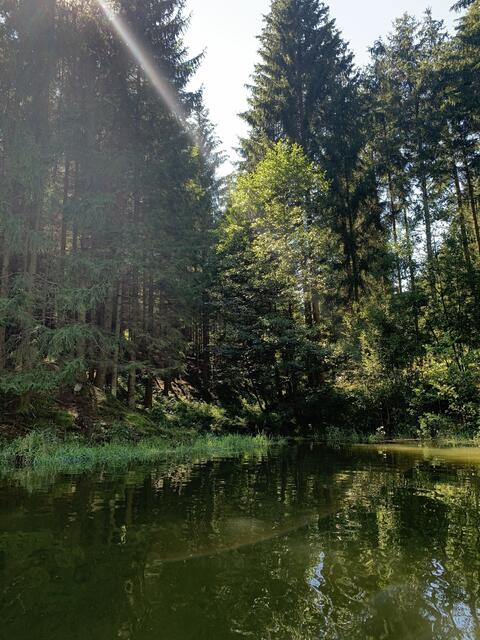 Der Stausee gilt als Naturjuwel. | Foto: Michaela Müller
