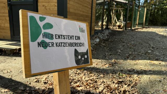 Die Gesamtkosten für das mit hochwertigen Materialien ausgestattete Katzenhaus belaufen sich auf rund 52.400 Euro. | Foto: Hahn