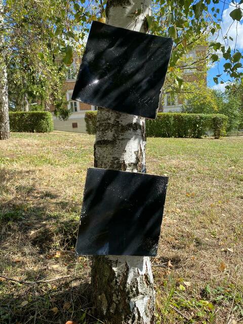 Foto: Art Collection Schlichtner