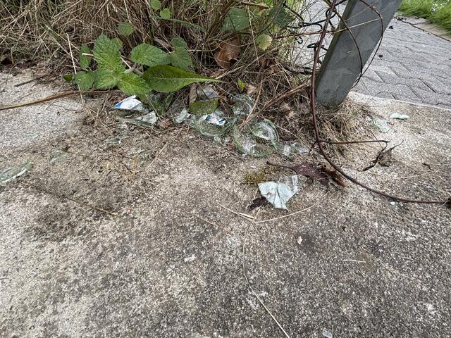 Lärm, Müll und Zerstörung: Rund um das Vereinshaus finden sich Scherben und Müllablagerungen. | Foto: Kendlbacher