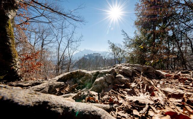 Ausblick vom Stadtwald auf dem Kapuzinerberg in Richtung Festung.  | Foto: Stadt Salzburg/Alexander Killer