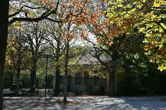 Hinterm Zaun der Tiergarten