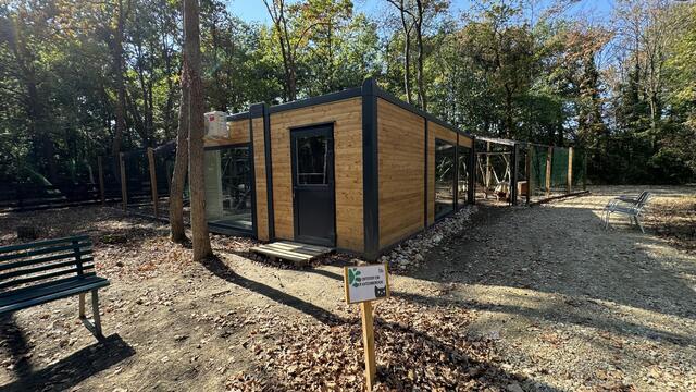 Ein Blick auf das neu eröffnete Katzenhaus. | Foto: Hahn