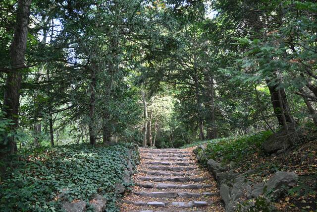 Waldweg hinauf zur Gloriette 
