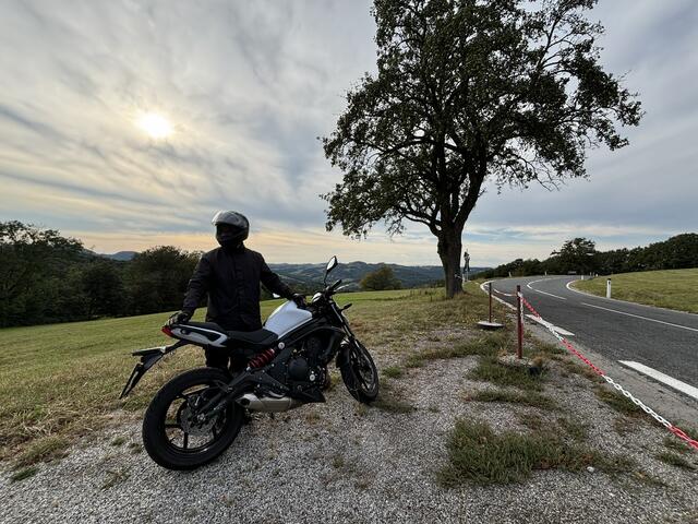 Nach Feierabend: mit dem Motorrad durch den Wienerwald. | Foto: Lauren Seywald