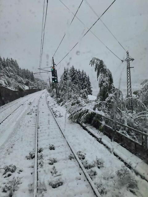 Bäume ragen zwischen Bad Hofgastein und Bad Gastein in die Bahnstrecke. | Foto: ÖBB Krammel