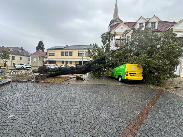 Zum Glück befand sich der Fahrer nicht im Post-Auto. | Foto: Stefan Schneider