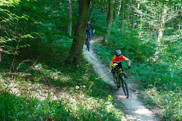 Zwei neue Lines verdoppeln das Angebot im Trailpark Weidlingbach.  | Foto: Verein Wienerwald Trails 