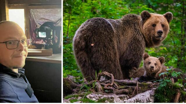 Der Wolfsberger Wildlife-Fotograf Marco Staubmann hatte Erfolg bei seiner "Foto-Safari" im benachbarten Slowenien.  | Foto: Marco Staubmann